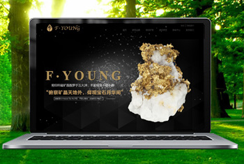 ���ϸ������ﱦʯ